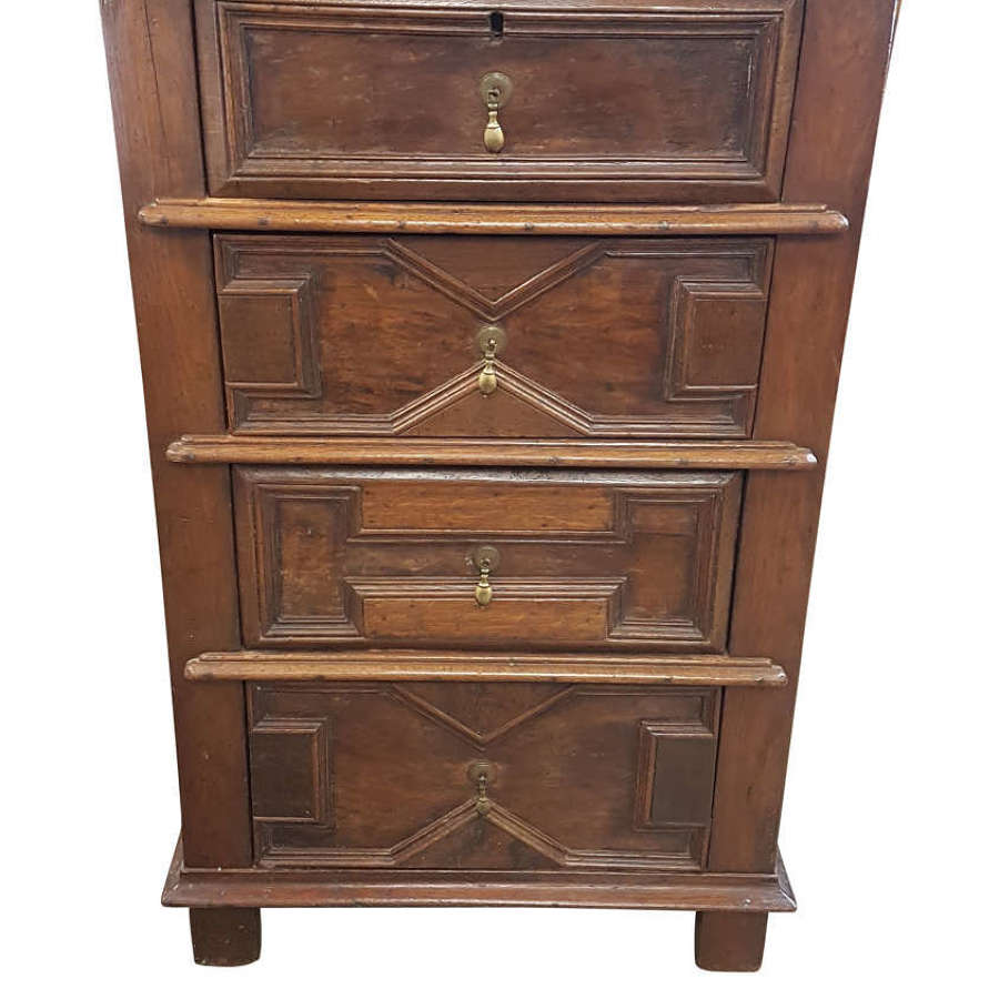 19th Century French Oak and Fruitwood Chest