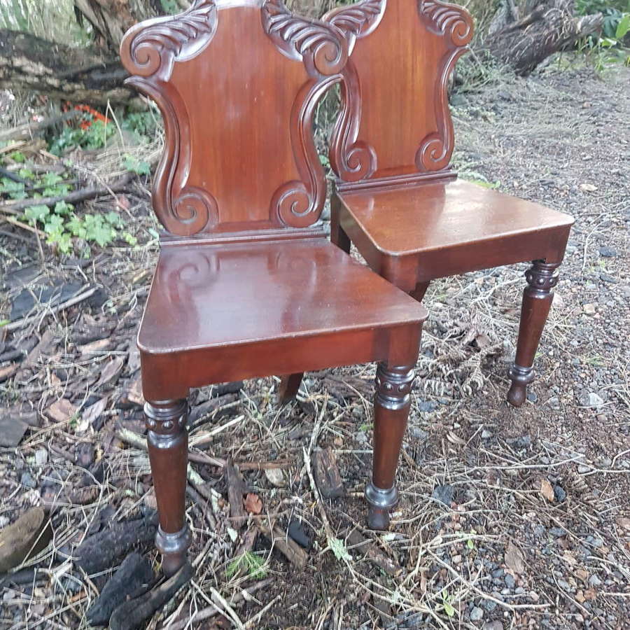 Pair of William IV mahogany hall chairs